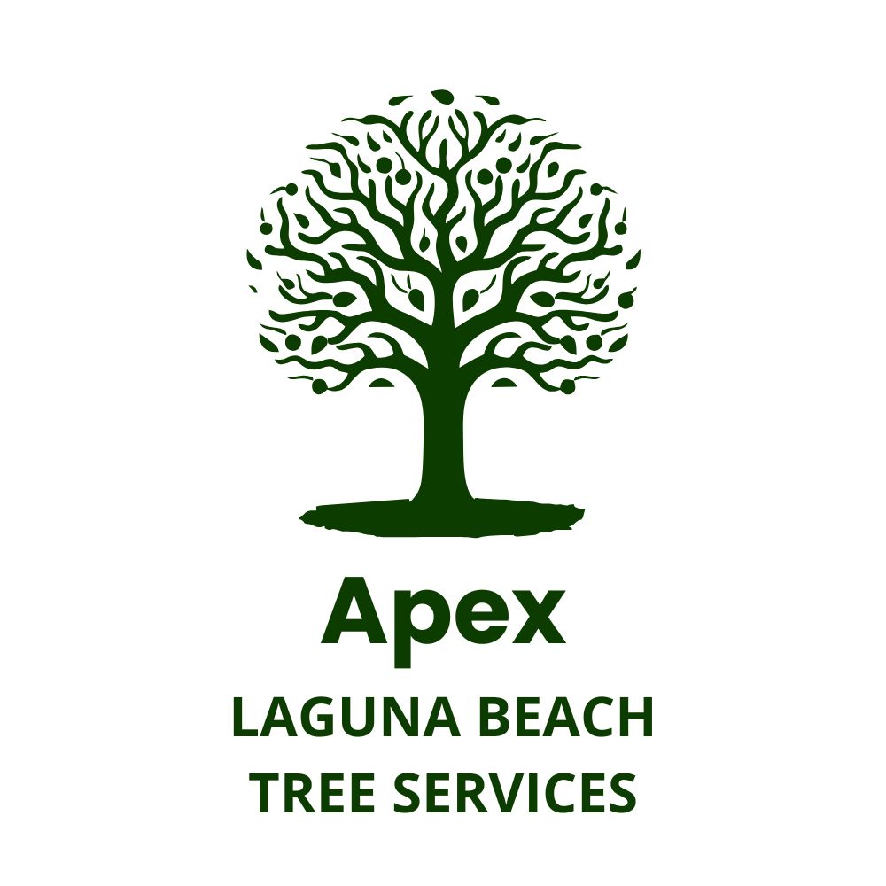 Apex Laguna Beach Tree Services